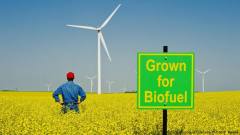 Types of Biofuel